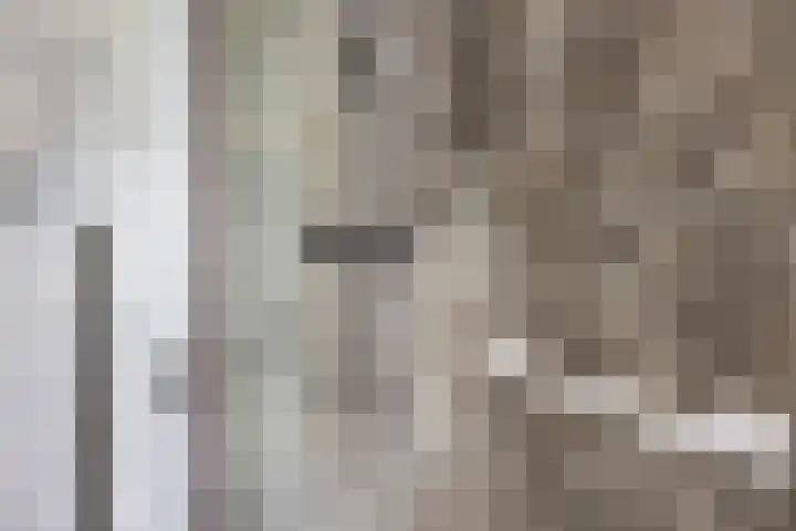 De Meidoorn 16 Bedum thumbnail 34