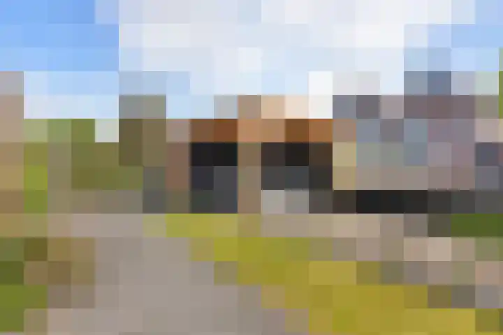 De Meidoorn 16 Bedum thumbnail 38