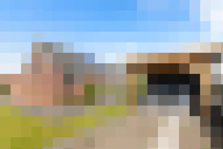 De Meidoorn 16 Bedum thumbnail 39