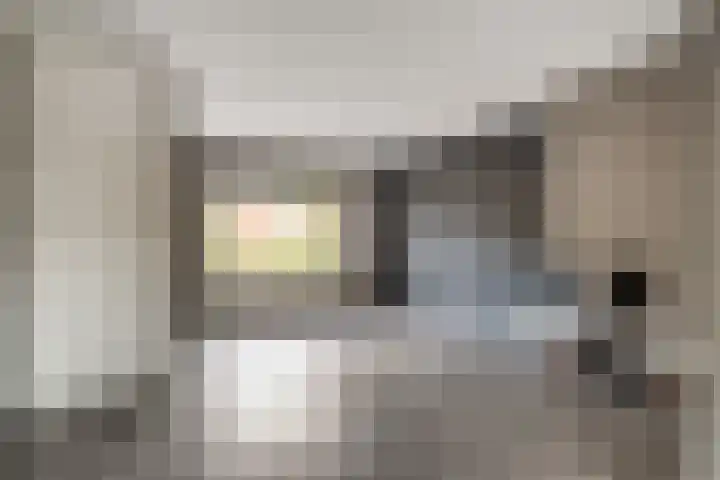 de Meidoorn 23 Didam thumbnail 12