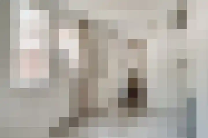de Meidoorn 23 Didam thumbnail 19