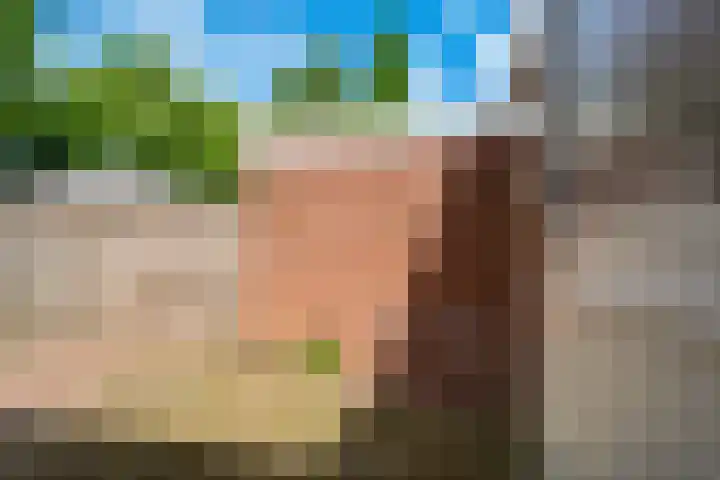 de Meidoorn 23 Didam thumbnail 20