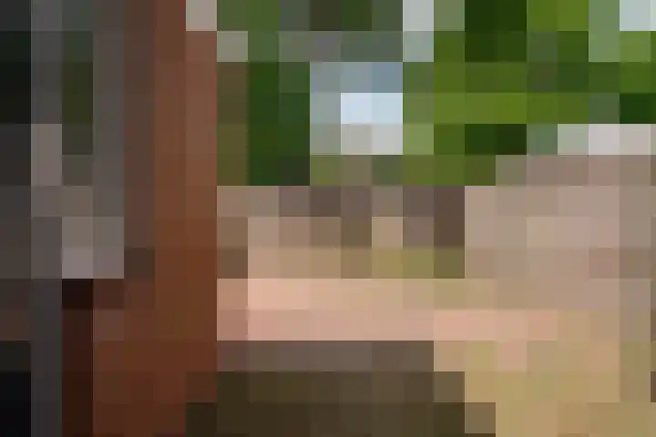 de Meidoorn 23 Didam thumbnail 21