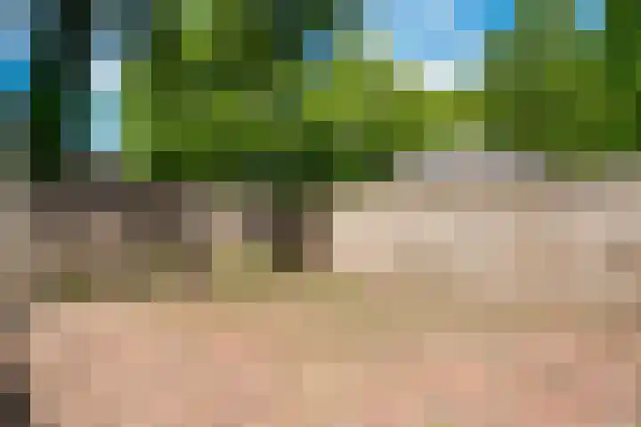 de Meidoorn 23 Didam thumbnail 22