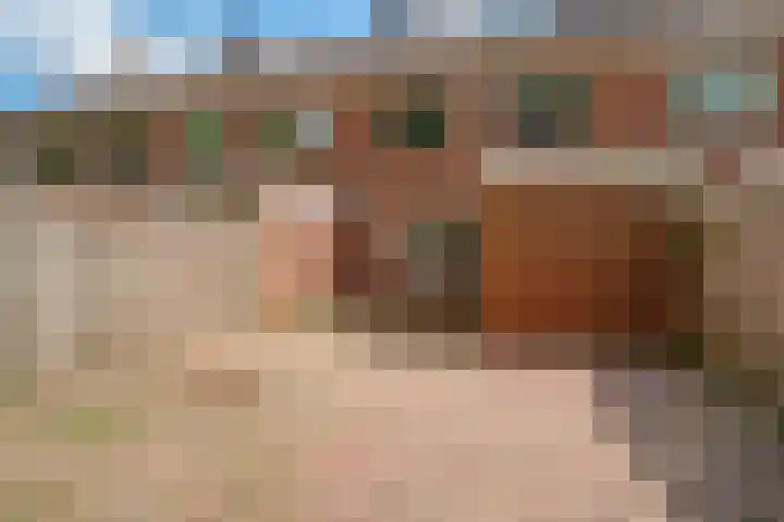 de Meidoorn 23 Didam thumbnail 23