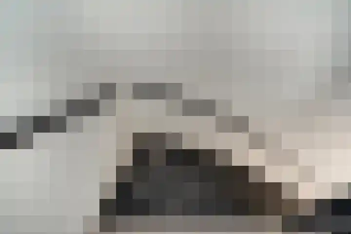 de Meidoorn 23 Didam thumbnail 25
