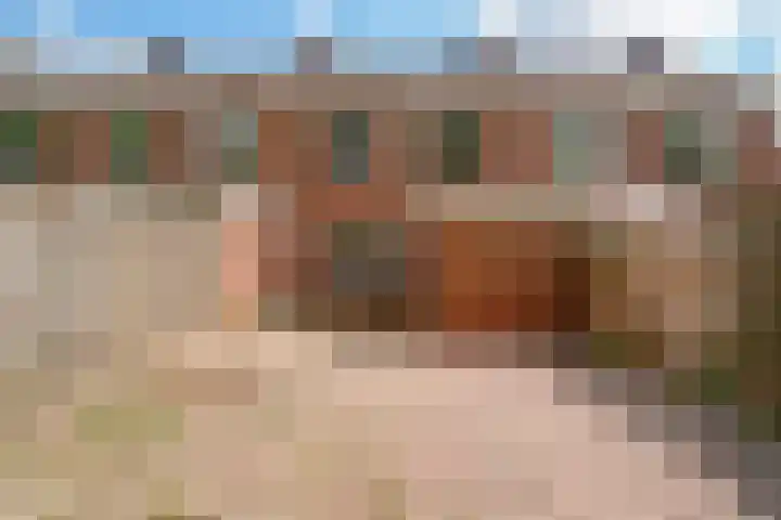 de Meidoorn 23 Didam thumbnail 4