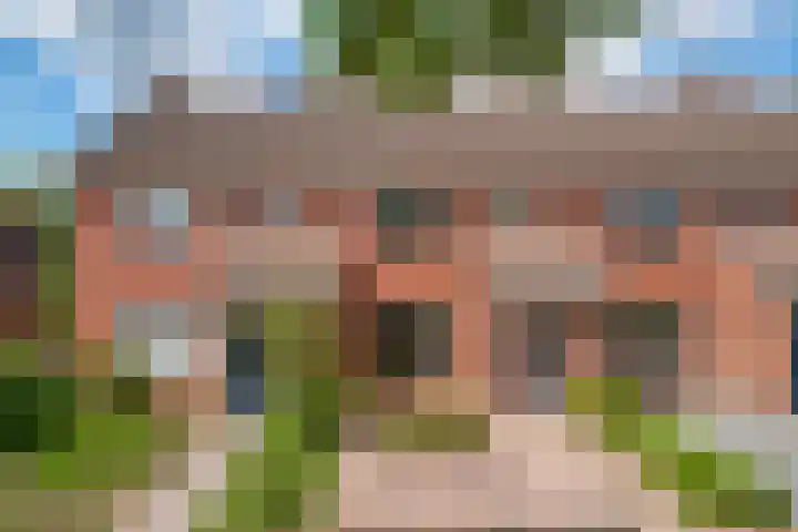 de Meidoorn 23 Didam thumbnail 5
