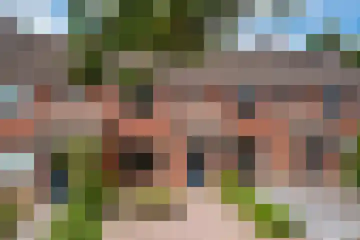 de Meidoorn 23 Didam thumbnail 7