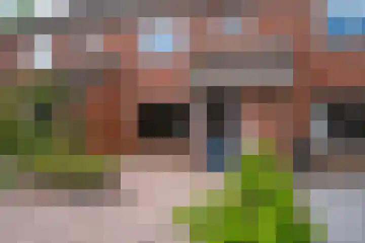 de Meidoorn 23 Didam thumbnail 9