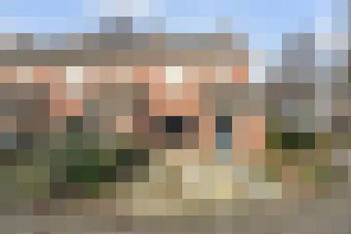de Meidoorn 27 Didam