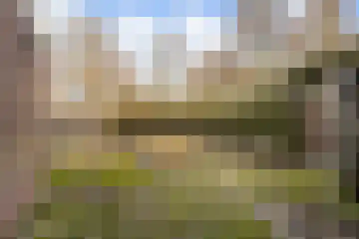 de Meidoorn 27 Didam thumbnail 21