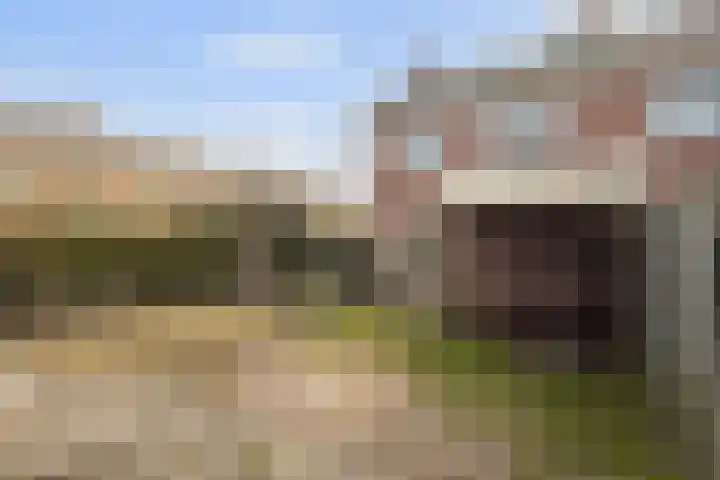de Meidoorn 27 Didam thumbnail 24