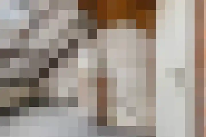 de Meidoorn 27 Didam thumbnail 36