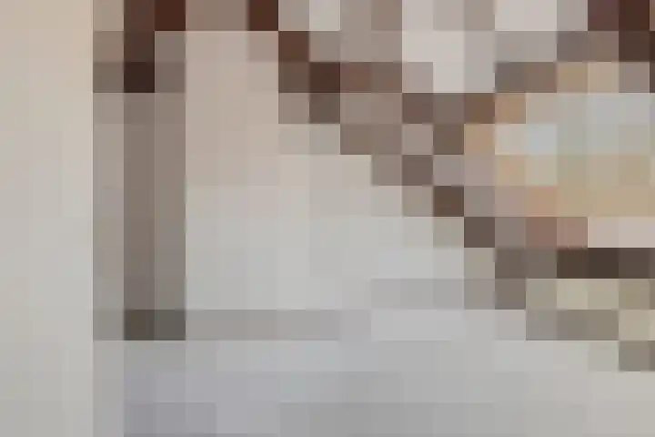 de Meidoorn 27 Didam thumbnail 37