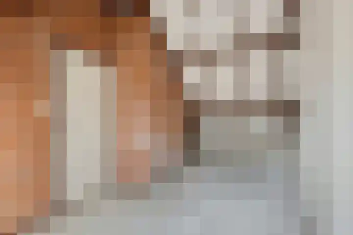 de Meidoorn 27 Didam thumbnail 38