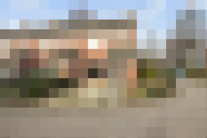 de Meidoorn 27 Didam thumbnail 6