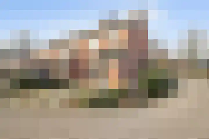 de Meidoorn 27 Didam thumbnail 7