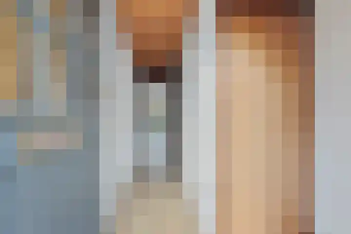 de Meidoorn 27 Didam thumbnail 8