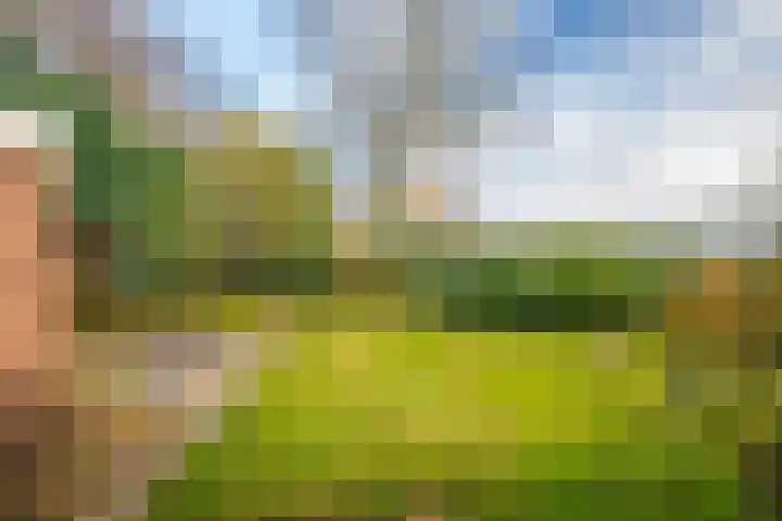 de Meidoorn 38 Didam thumbnail 17