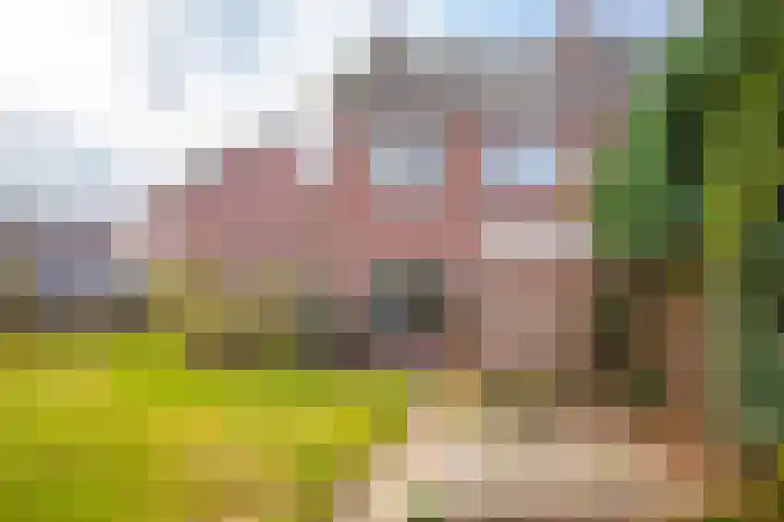 de Meidoorn 38 Didam thumbnail 19