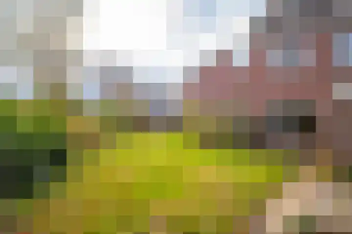 de Meidoorn 38 Didam thumbnail 20