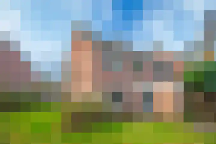 de Meidoorn 38 Didam thumbnail 22