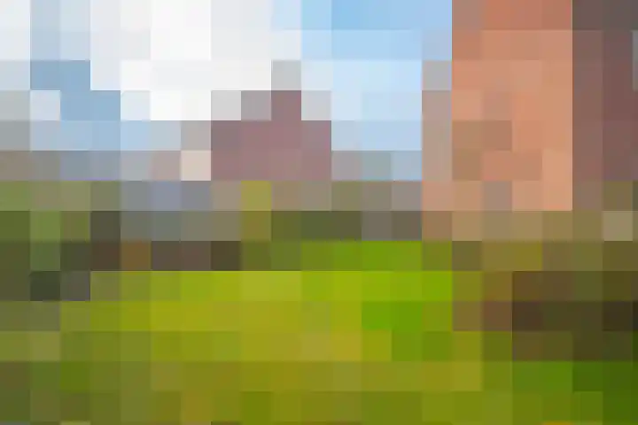 de Meidoorn 38 Didam thumbnail 23