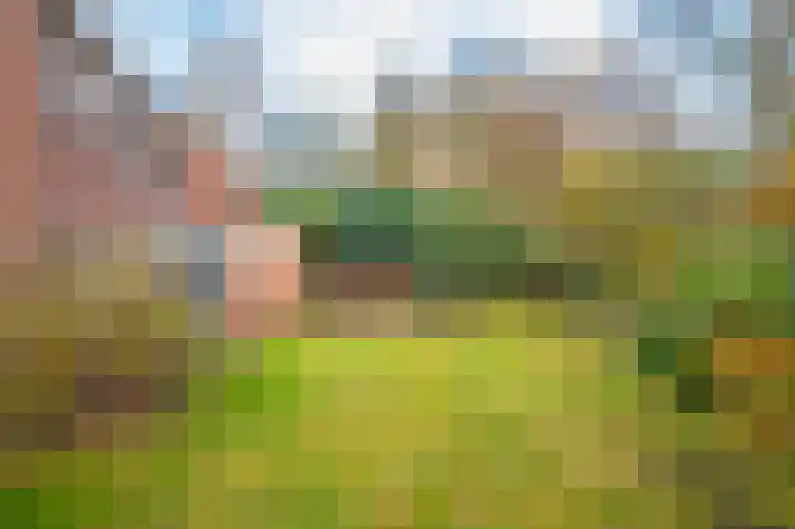 de Meidoorn 38 Didam thumbnail 24