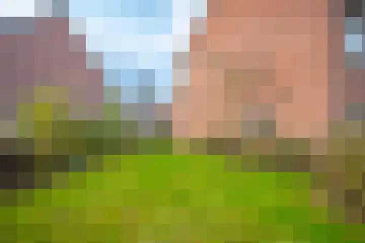 de Meidoorn 38 Didam thumbnail 25