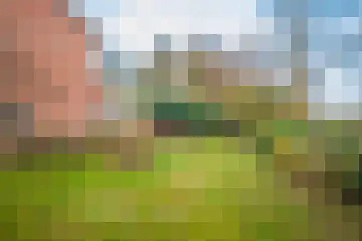 de Meidoorn 38 Didam thumbnail 26
