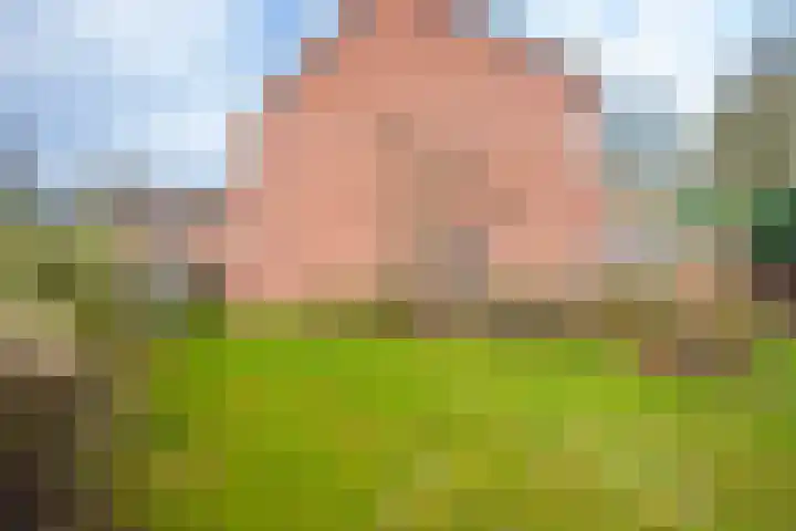 de Meidoorn 38 Didam thumbnail 27