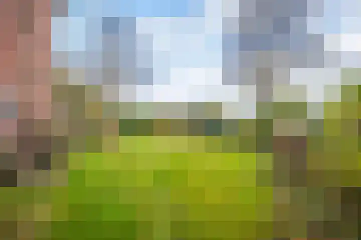 de Meidoorn 38 Didam thumbnail 28