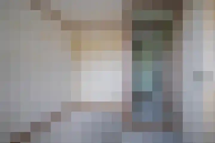 de Meidoorn 38 Didam thumbnail 31