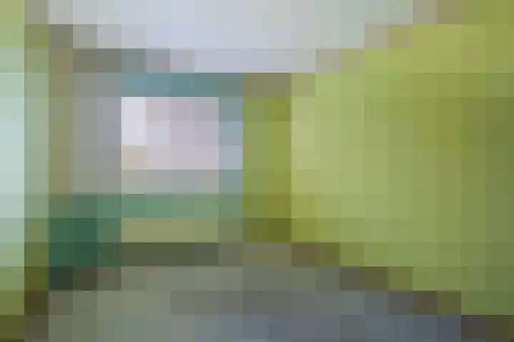 de Meidoorn 38 Didam thumbnail 32