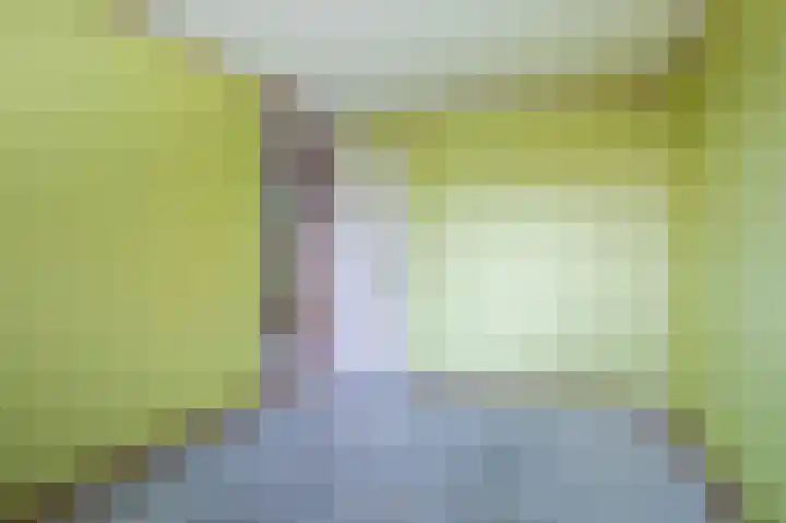 de Meidoorn 38 Didam thumbnail 33