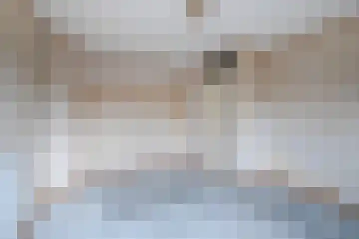 de Meidoorn 38 Didam thumbnail 35