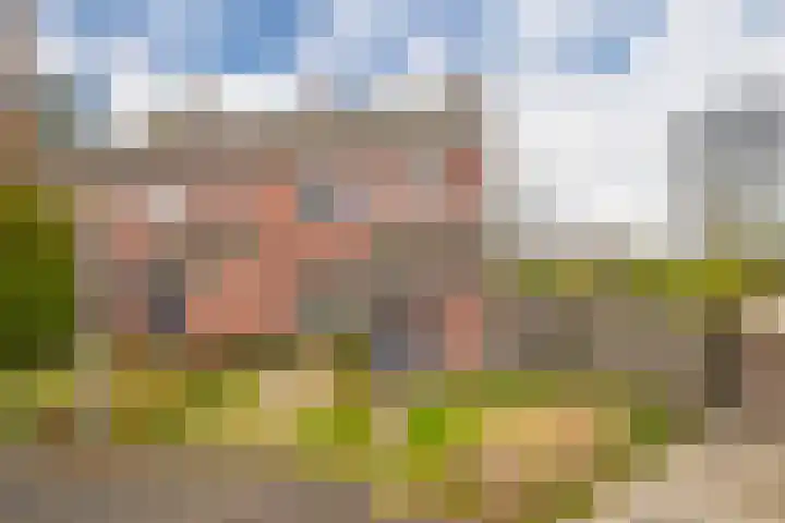 de Meidoorn 38 Didam thumbnail 6