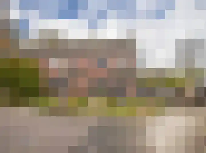 de Meidoorn 38 Didam thumbnail 7