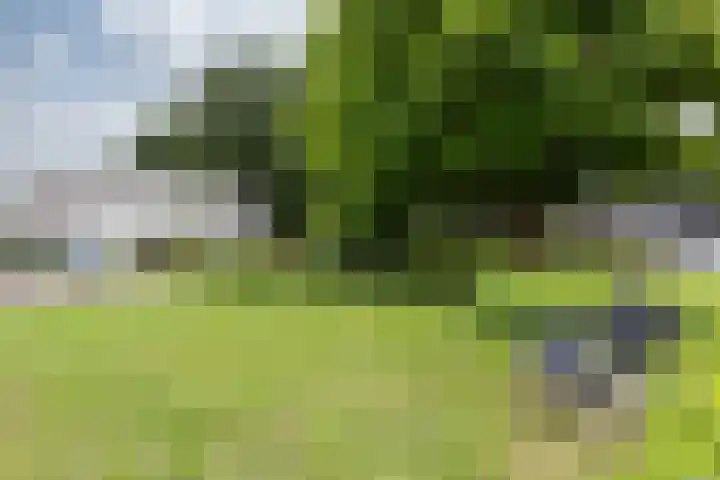 de Meidoorn 5 Didam thumbnail 10
