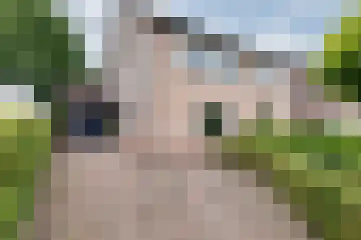 de Meidoorn 5 Didam thumbnail 11