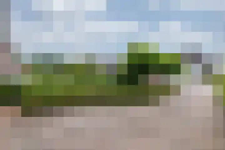 de Meidoorn 5 Didam thumbnail 13