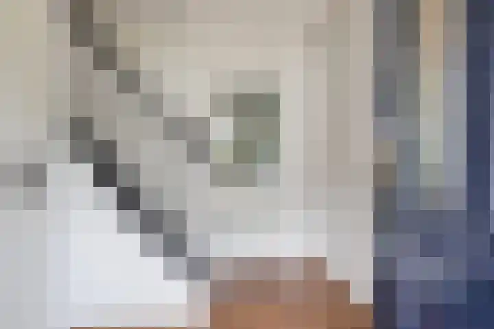 de Meidoorn 5 Didam thumbnail 17