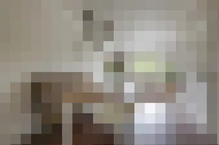 de Meidoorn 5 Didam thumbnail 19