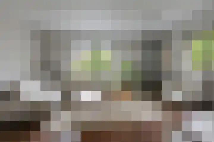 de Meidoorn 5 Didam thumbnail 20