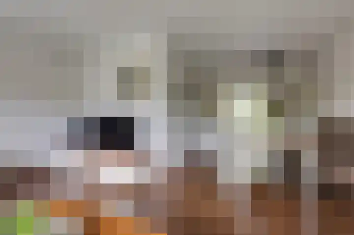 de Meidoorn 5 Didam thumbnail 24