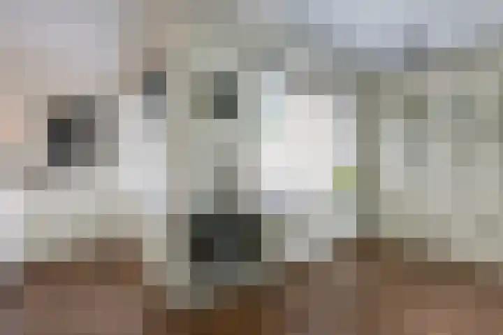 de Meidoorn 5 Didam thumbnail 28