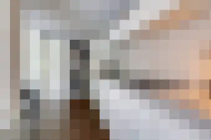 de Meidoorn 5 Didam thumbnail 31