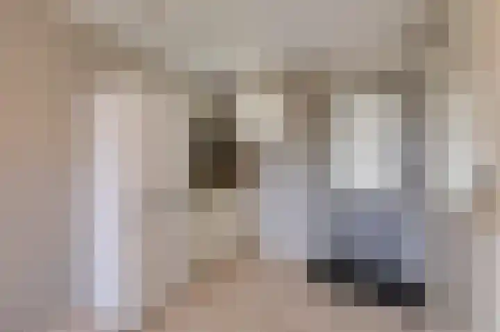 de Meidoorn 5 Didam thumbnail 37