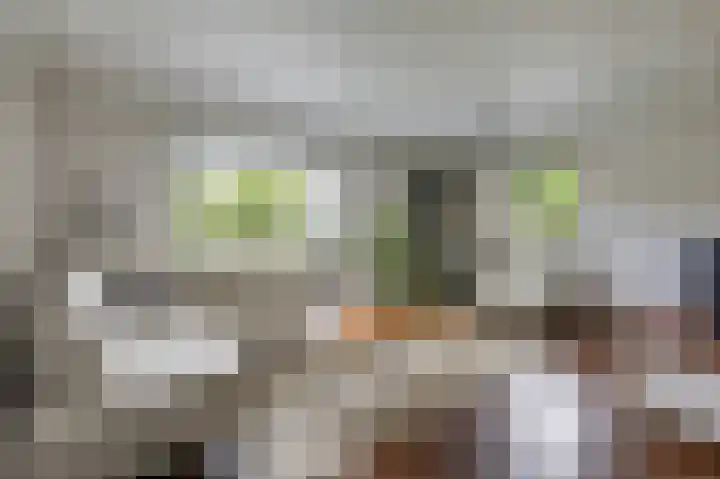 de Meidoorn 5 Didam thumbnail 4